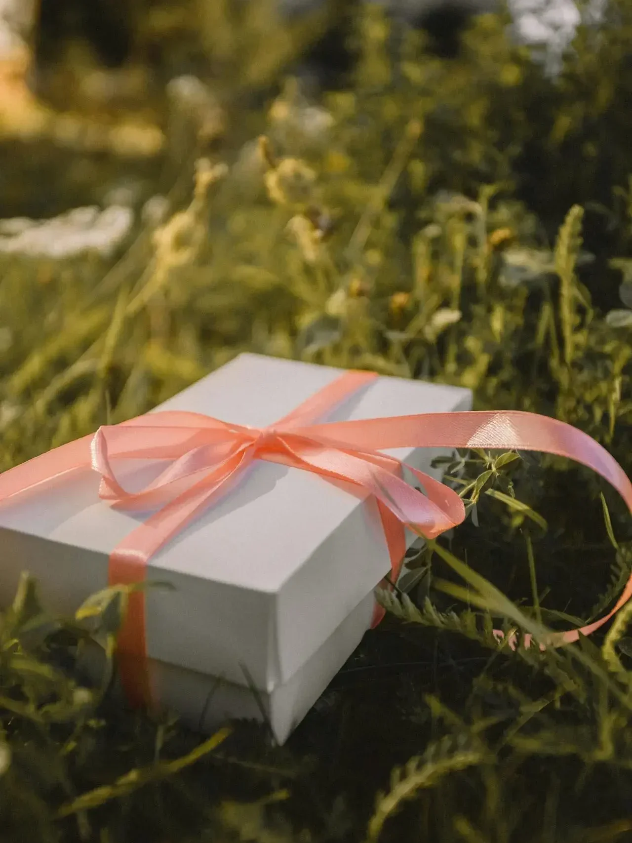 Handpicked premium gift hampers featuring gourmet treats and elegant packaging